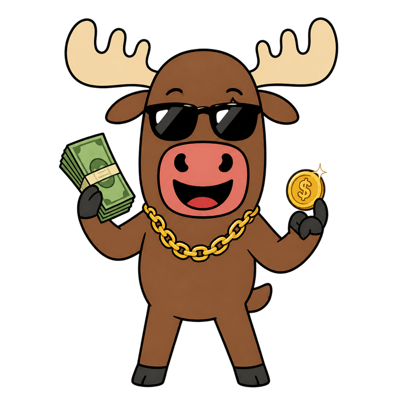 Smoose with sunglasses, cash and a gold chain